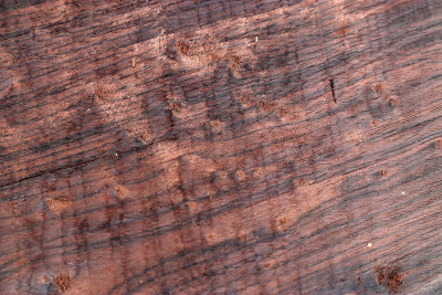 African Blackwood Burl 305x190x45mm - Gren0445