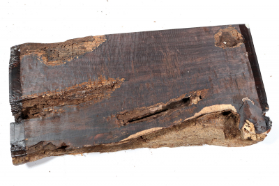 African Blackwood Burl 315x150x45mm - Gren0447