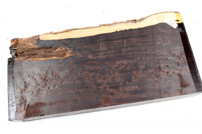 African Blackwood Burl 315x150x45mm - Gren0447