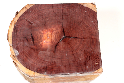 Abschnitt Königsholz 180x155x95mm - King0805