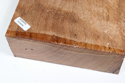 Abschnitt Korkeiche 320x155x62mm - Kork0039