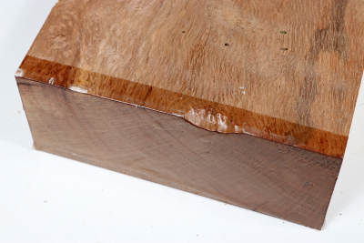 Abschnitt Korkeiche 320x155x62mm - Kork0039