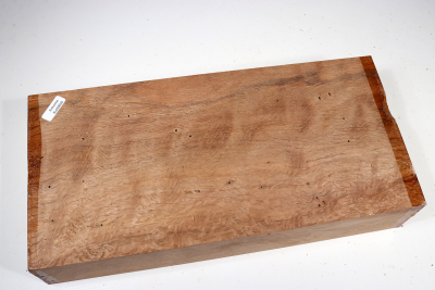 Abschnitt Korkeiche 320x155x62mm - Kork0039