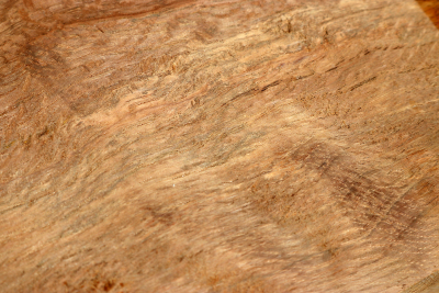 Abschnitt Korkeiche 345x115x57mm - Kork0036