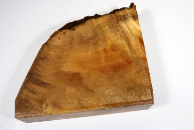 Abschnitt Laurel Maser 235x200x65mm - LauM0235