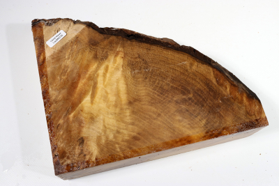 Abschnitt Laurel Maser 235x200x65mm - LauM0235