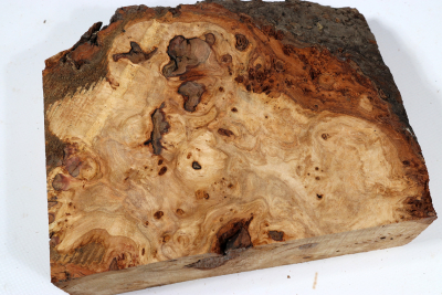 Burl Slab Linden Tree Burl 180x145x60mm - LinM0168