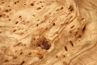 Burl Slab Linden Tree Burl 180x145x60mm - LinM0168