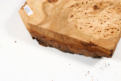 Burl Slab Linden Tree Burl 180x145x60mm - LinM0168