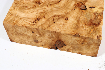 Burl Slab Linden Tree Burl 180x145x60mm - LinM0168