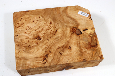 Burl Slab Linden Tree Burl 180x145x60mm - LinM0168