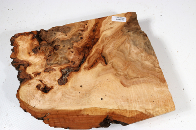 Linden Tree Burl 220x180x60mm - LinM0162