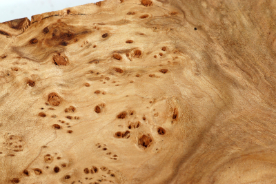 Burl Slab Linden Tree Burl 280x90x58mm - LinM0160
