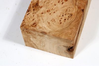 Burl Slab Linden Tree Burl 280x90x58mm - LinM0160