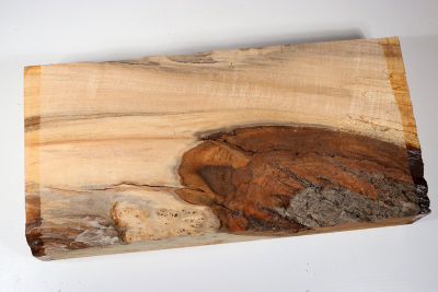 Burl Slab Linden Tree Burl 350x170x55mm - LinM0124