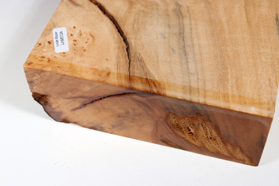 Burl Slab Linden Tree Burl 350x170x55mm - LinM0124