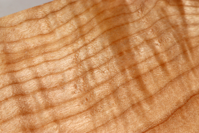 Blank Qulited Maple 315x160x58mm - Ahorn0390