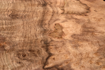Blank Walnut Burl 290x135x120mm - NusBM1252