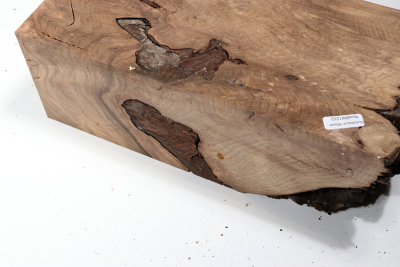 Blank Walnut Burl 290x135x120mm - NusBM1252