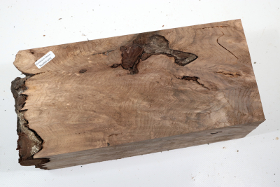 Blank Walnut Burl 290x135x120mm - NusBM1252