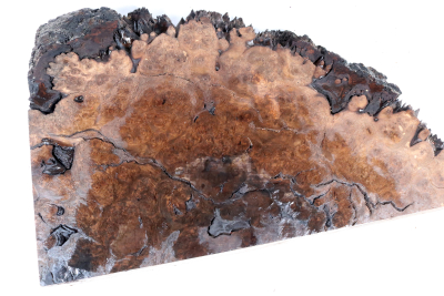 Blank Walnut Burl 490x360x65mm - NusBM1270