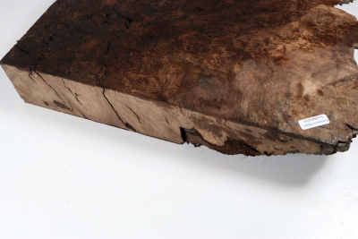 Blank Walnut Burl 490x360x65mm - NusBM1270