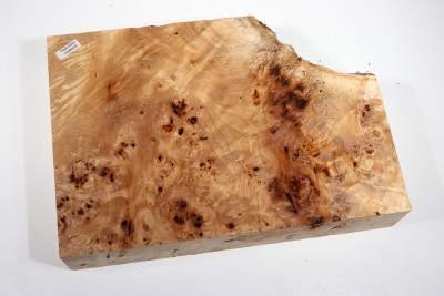 Poplar Burl 320x220x60mm- PapM0294