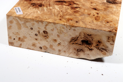 Poplar Burl 345x170x60mm- PapM0296