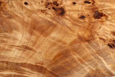 Poplar Burl 345x190x60mm- PapM0301