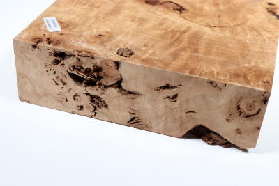 Poplar Burl 345x190x60mm- PapM0301