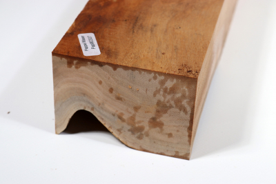 Poplar Burl 350x85x60mm- PapM0307