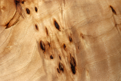 Poplar Burl 410x250x45mm- PapM0270