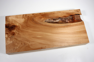 Poplar Burl 430x205x55mm- PapM0297