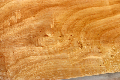 Poplar Burl 430x205x55mm- PapM0297