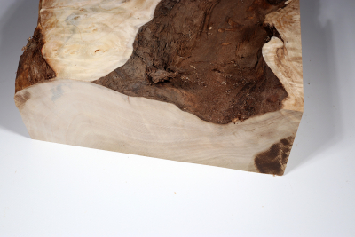 Poplar Burl 450x270x90mm- PapM0214