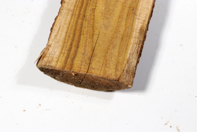 Abschnitt Perückenstrauch 245x60x30mm - Perü0111