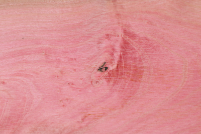 Abschnitt Pink Ivory 510x103x8mm - PinIv0257