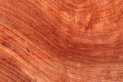 Abschnitt Redwood Maser 270x215x75mm - Redw0092