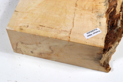Abschnitt Rosskastanie 360x170x65mm - Roka0459