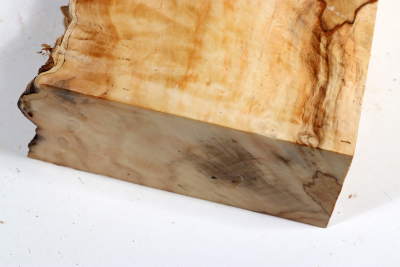Abschnitt Rosskastanie 360x170x65mm - Roka0459