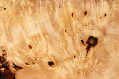 Horse Chestnut Burl 230x230x70mm - Roka0501