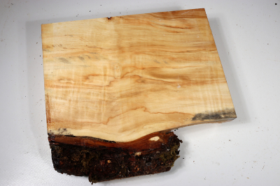 Horse Chestnut Burl 250x230x60mm - Roka0320