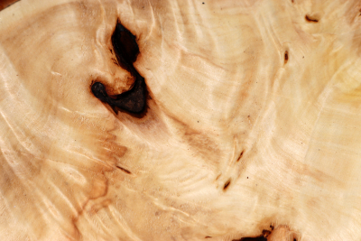 Horse Chestnut Burl 250x230x60mm - Roka0320