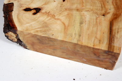 Horse Chestnut Burl 250x230x60mm - Roka0320