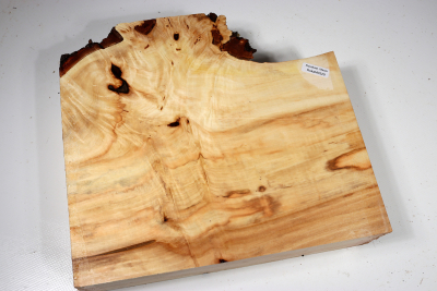 Horse Chestnut Burl 250x230x60mm - Roka0320