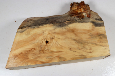 Horse Chestnut Burl 260x180x70mm - Roka0504