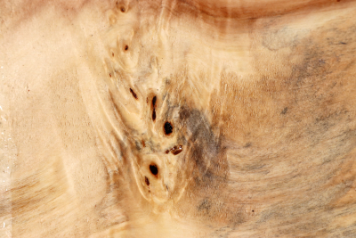 Horse Chestnut Burl 260x180x70mm - Roka0504
