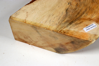 Horse Chestnut Burl 260x180x70mm - Roka0504