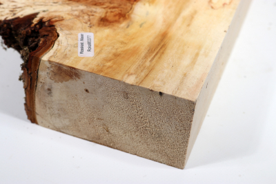 Horse Chestnut Burl 270x170x60mm - Roka0377