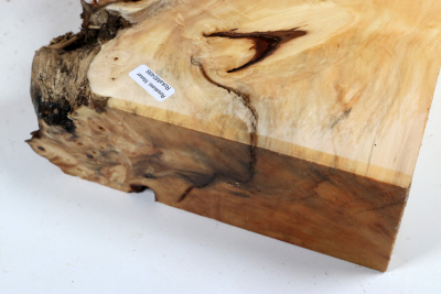 Abschnitt Rosskastanie Maser 270x210x73mm - Roka0498